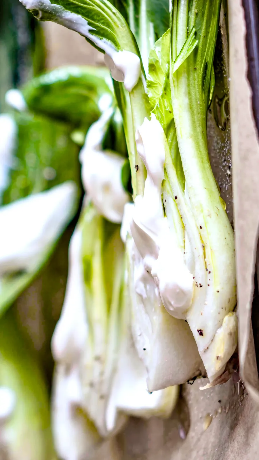Kohlrabi im Käse-Back-Teig mit Ofen-Pak-Choi