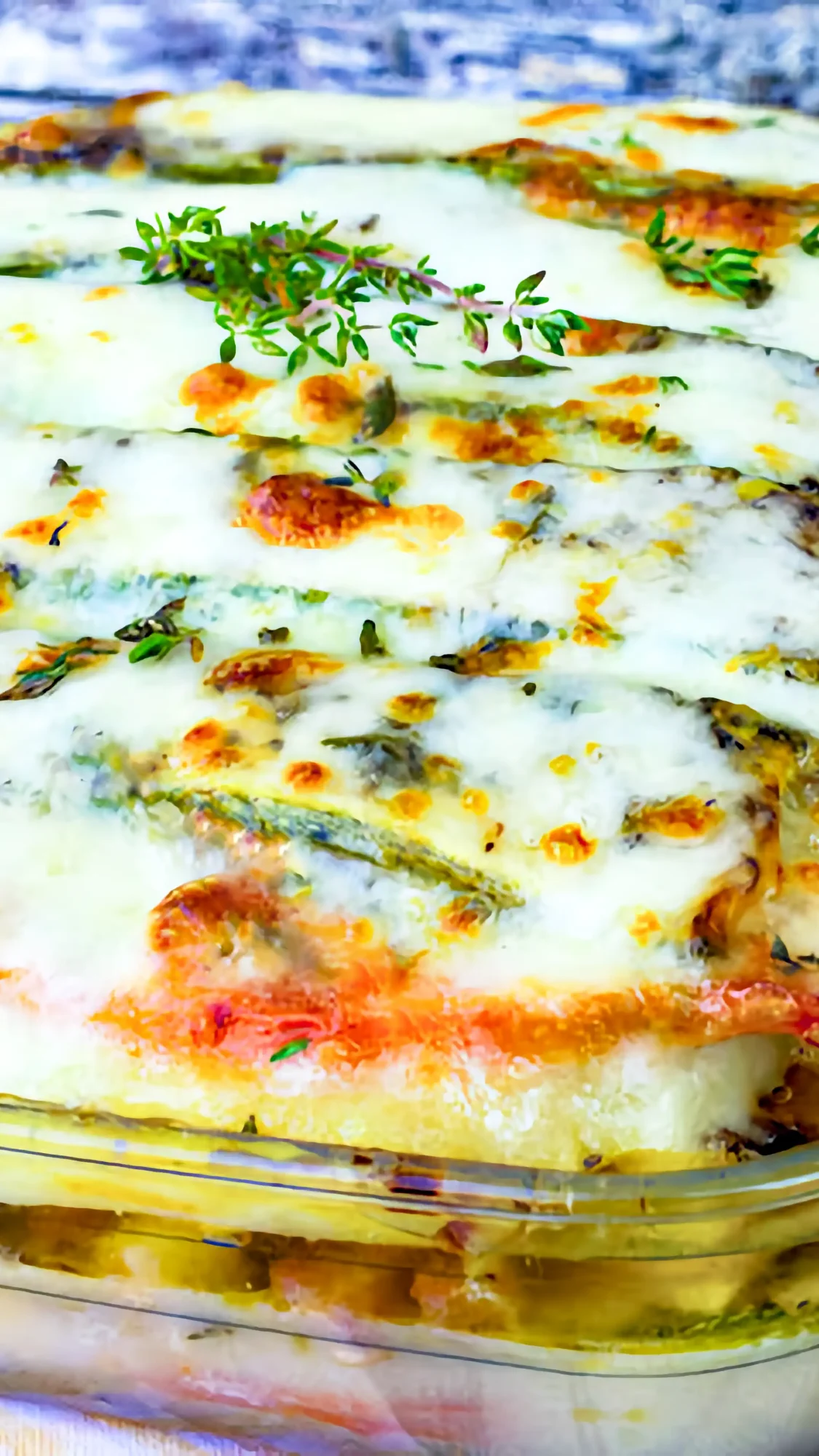 Zucchini-Tomaten-Champignon-Kartoffel-Auflauf mit Mozzarella überbacken